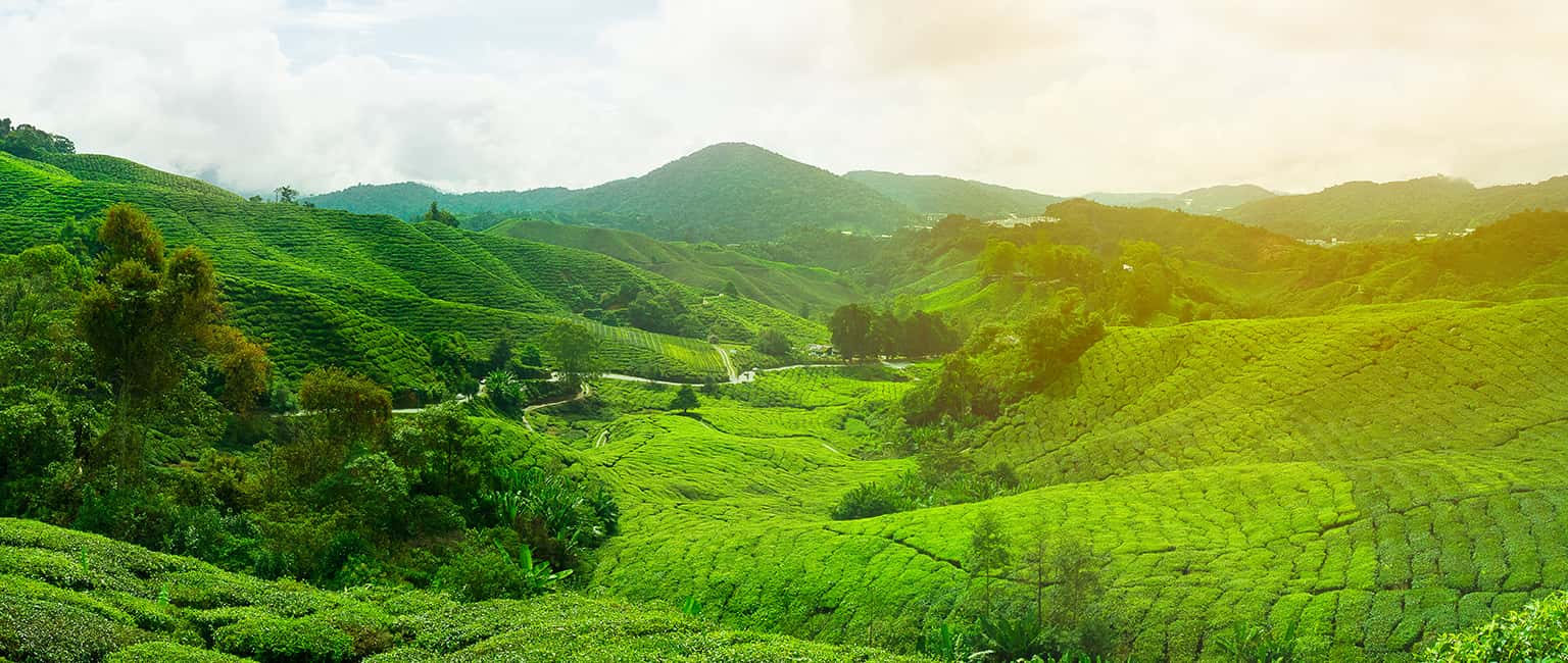 Top 10 địa điểm du lịch hấp dẫn nhất tại Malaysia 