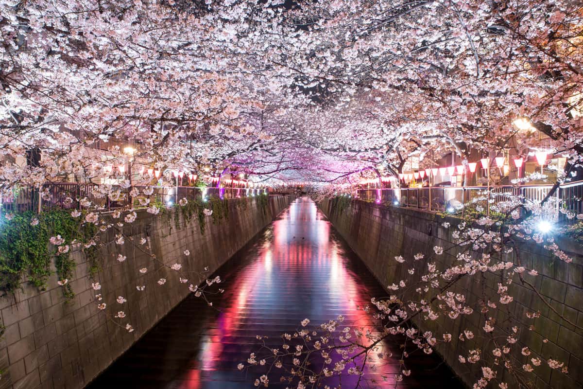 Naka - Meguro