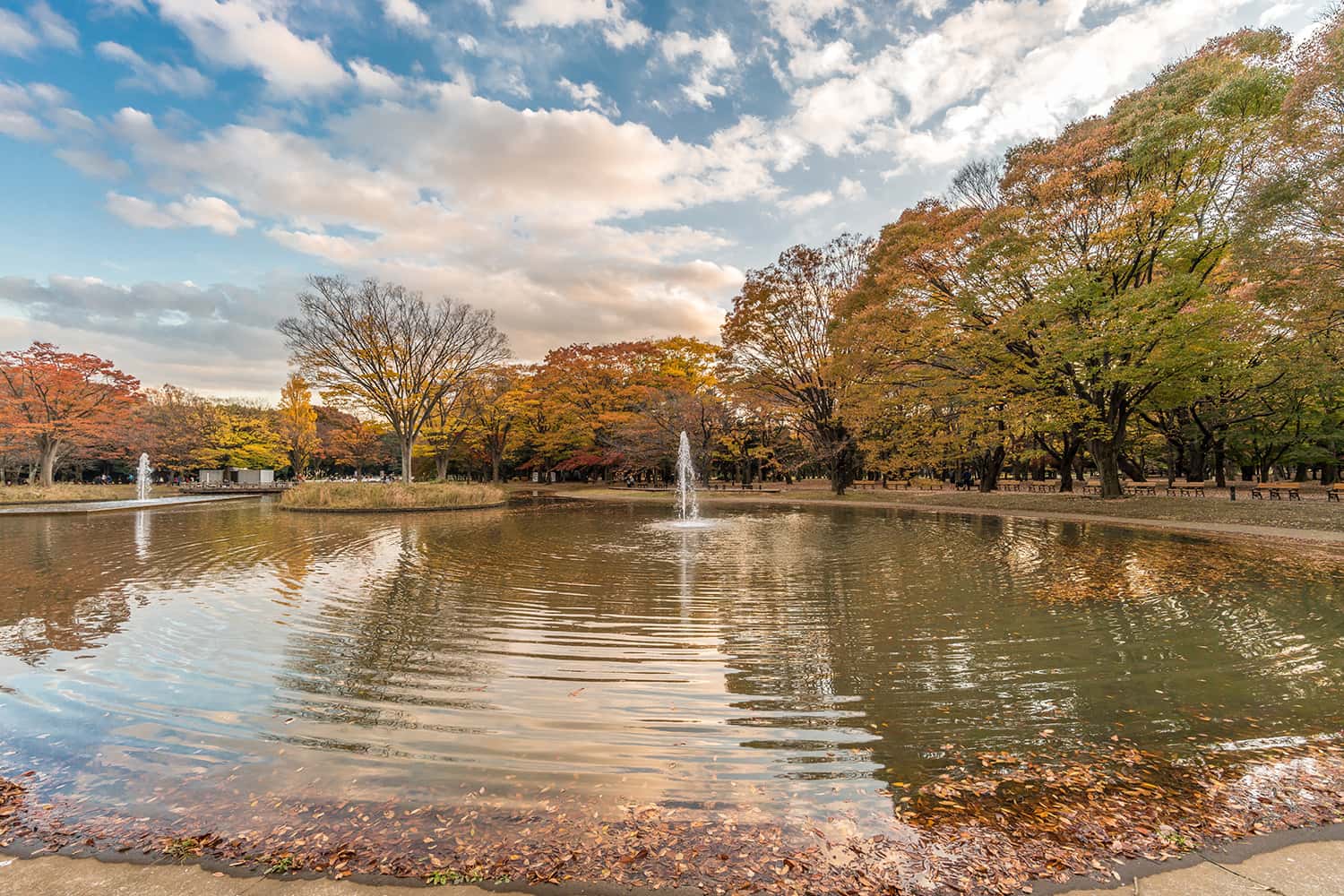 Công viên Yoyogi