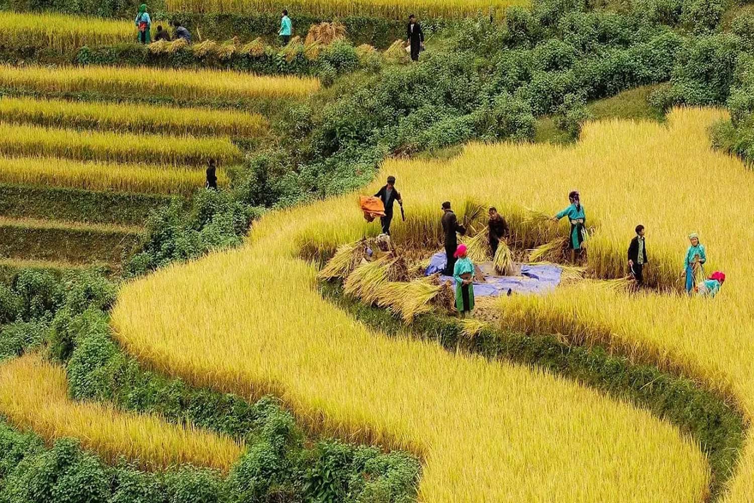 Tháng 8 đến tháng 9 ở Hà Giang