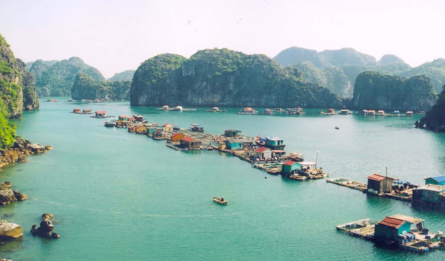Mùa đông ở Cát Bà