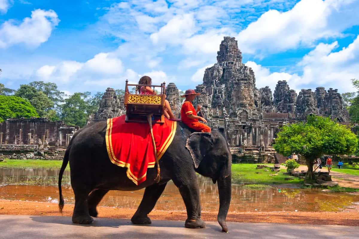 Không nên sử dụng dịch vụ cưỡi voi