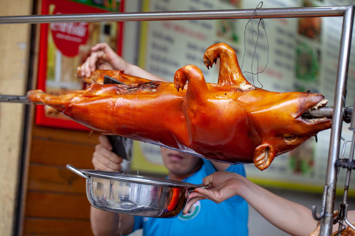 Lợn cắp nách