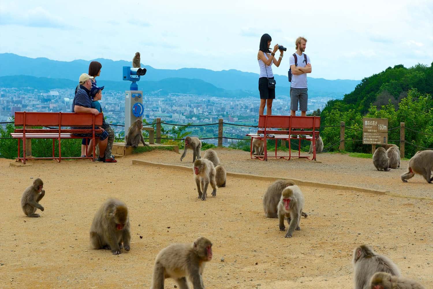  Arashiyama Monkey Park 