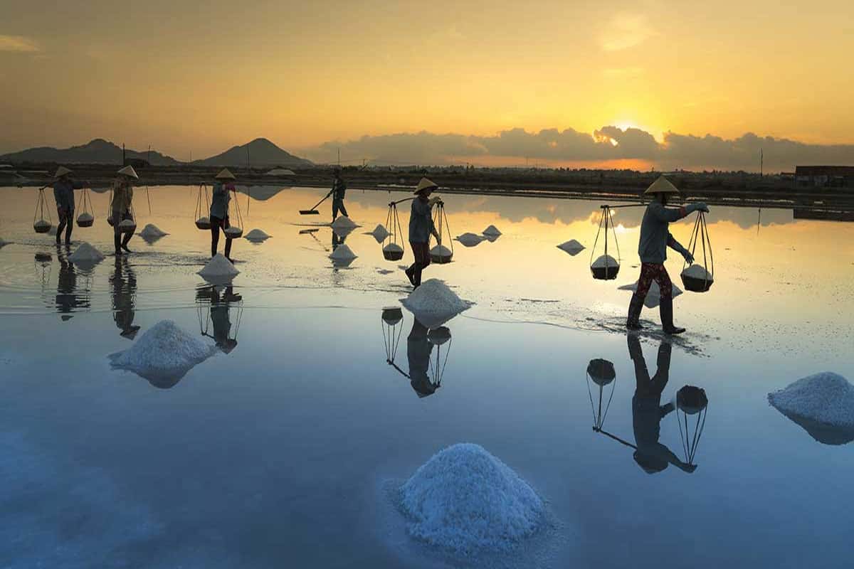 Đồng muối Hòn Khói