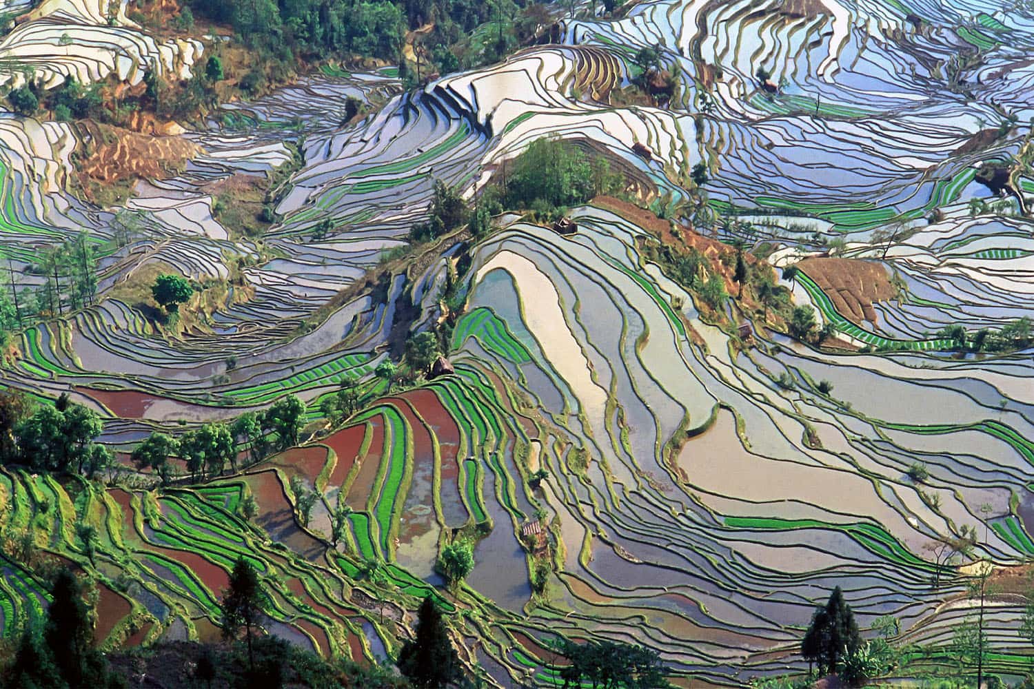 Ruộng bậc thang Yuanyang