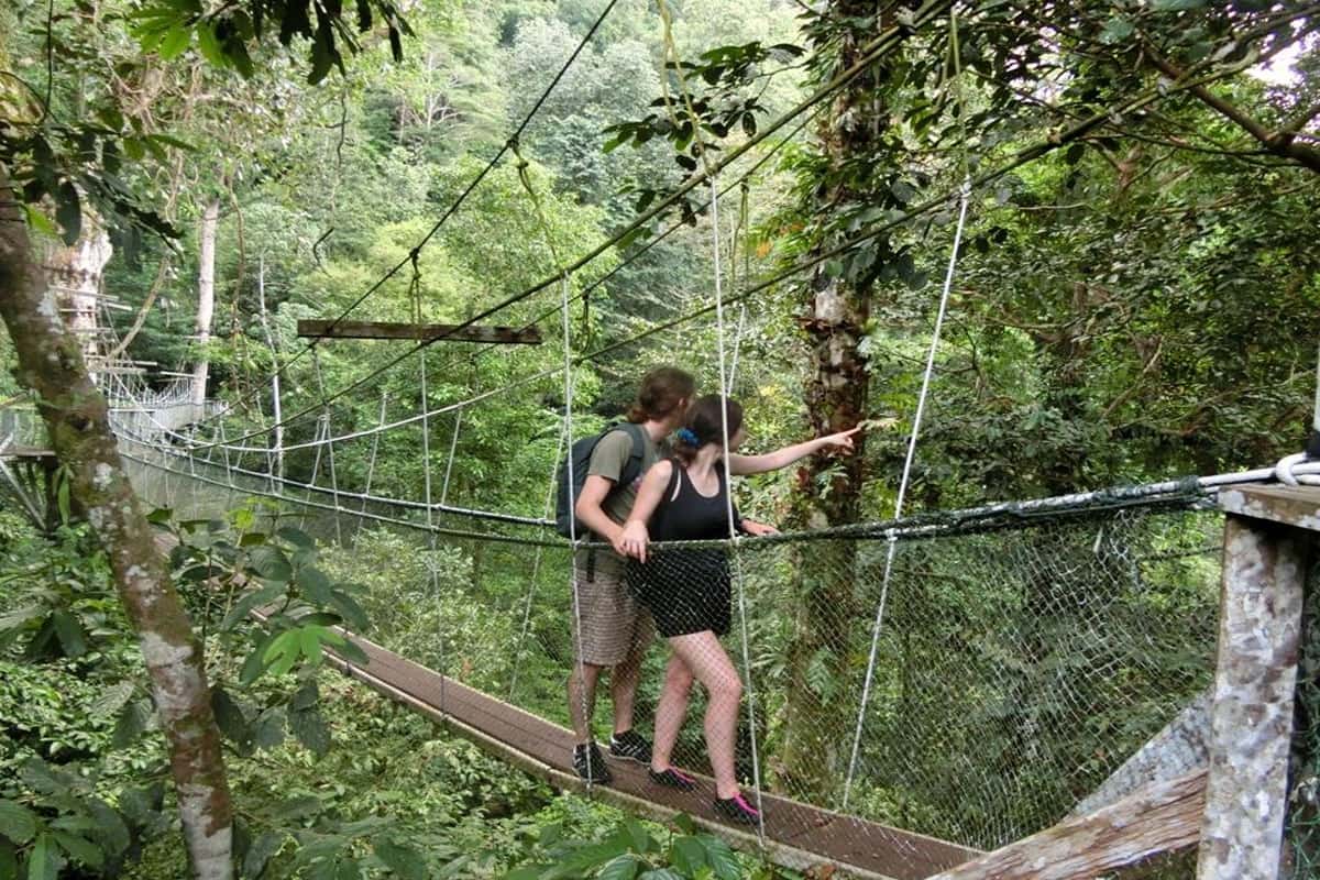 Đi bộ xuyên công viên Quốc gia Bako