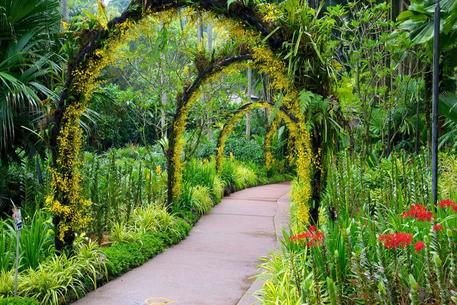 Khu Bukit Timah