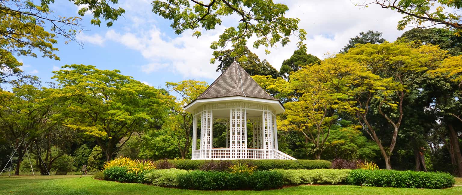 Tham quan vườn bách thảo Singapore Botanic Gardens