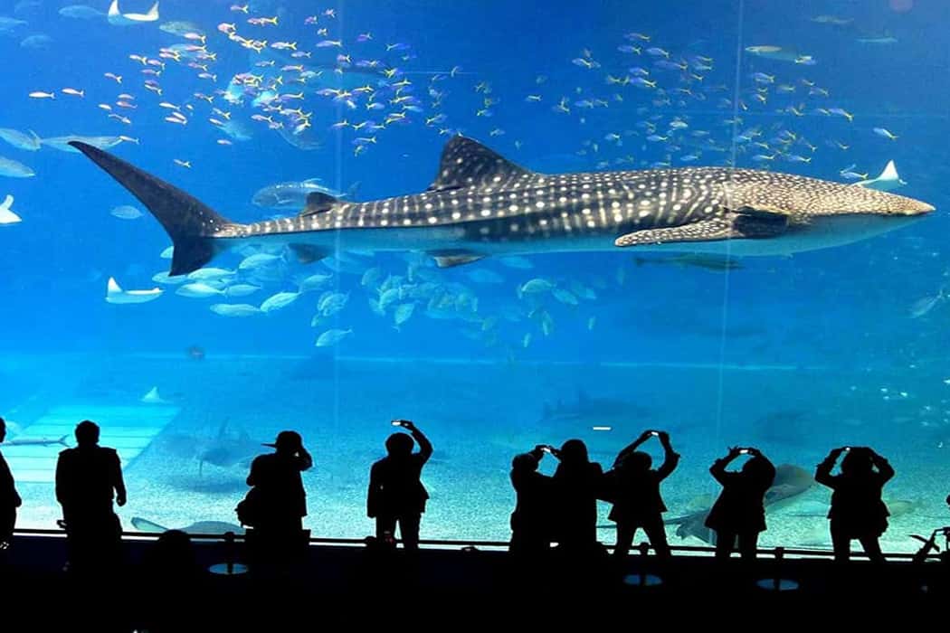 SEA LIFE Bangkok Ocean World