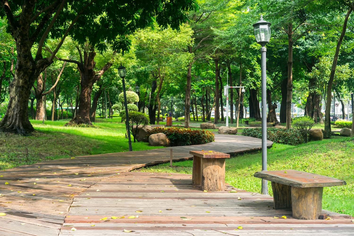 Hàng cây xanh rợp bóng