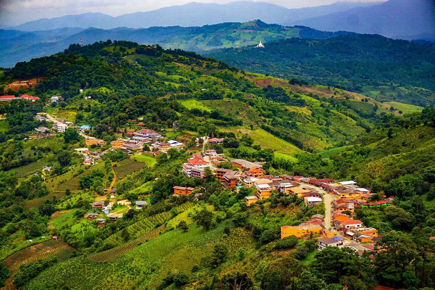Ghé thăm núi Doi Mae Salong
