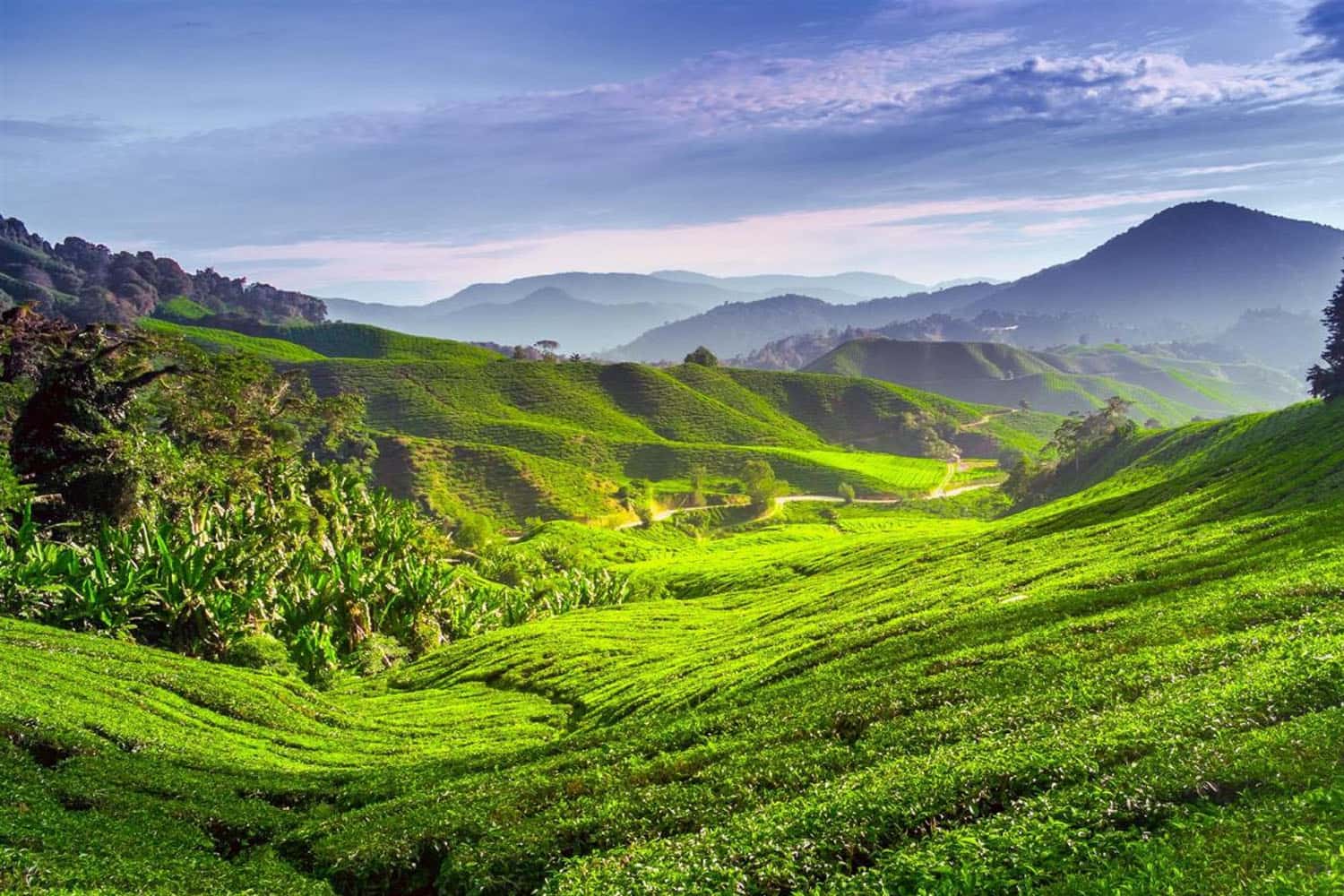 Phong cảnh đa dạng tại malaysia
