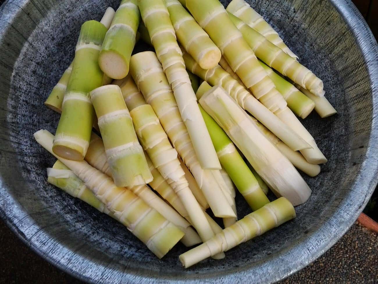 Măng đắng