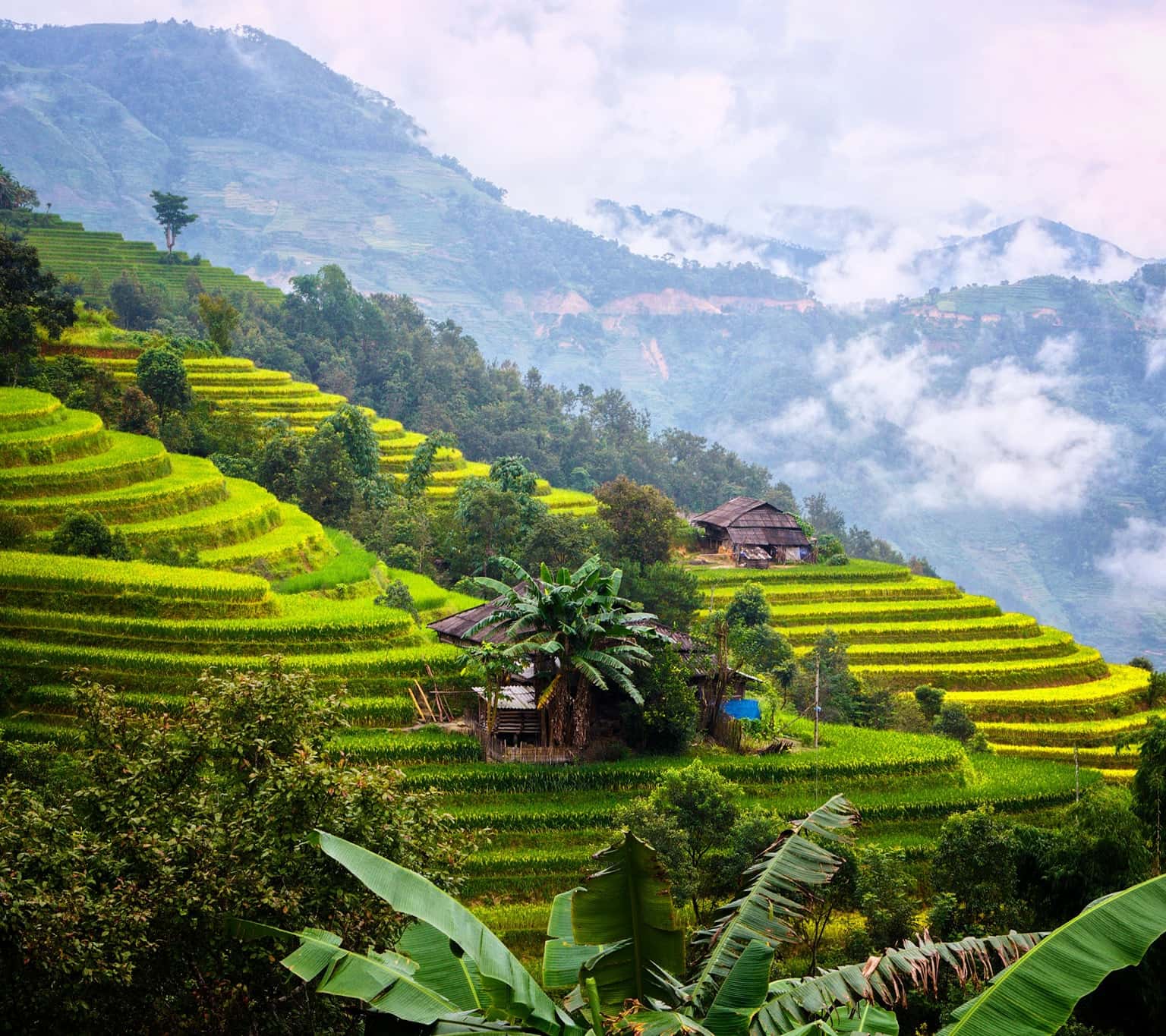 Cảnh đẹp nên thơ của Y Tý