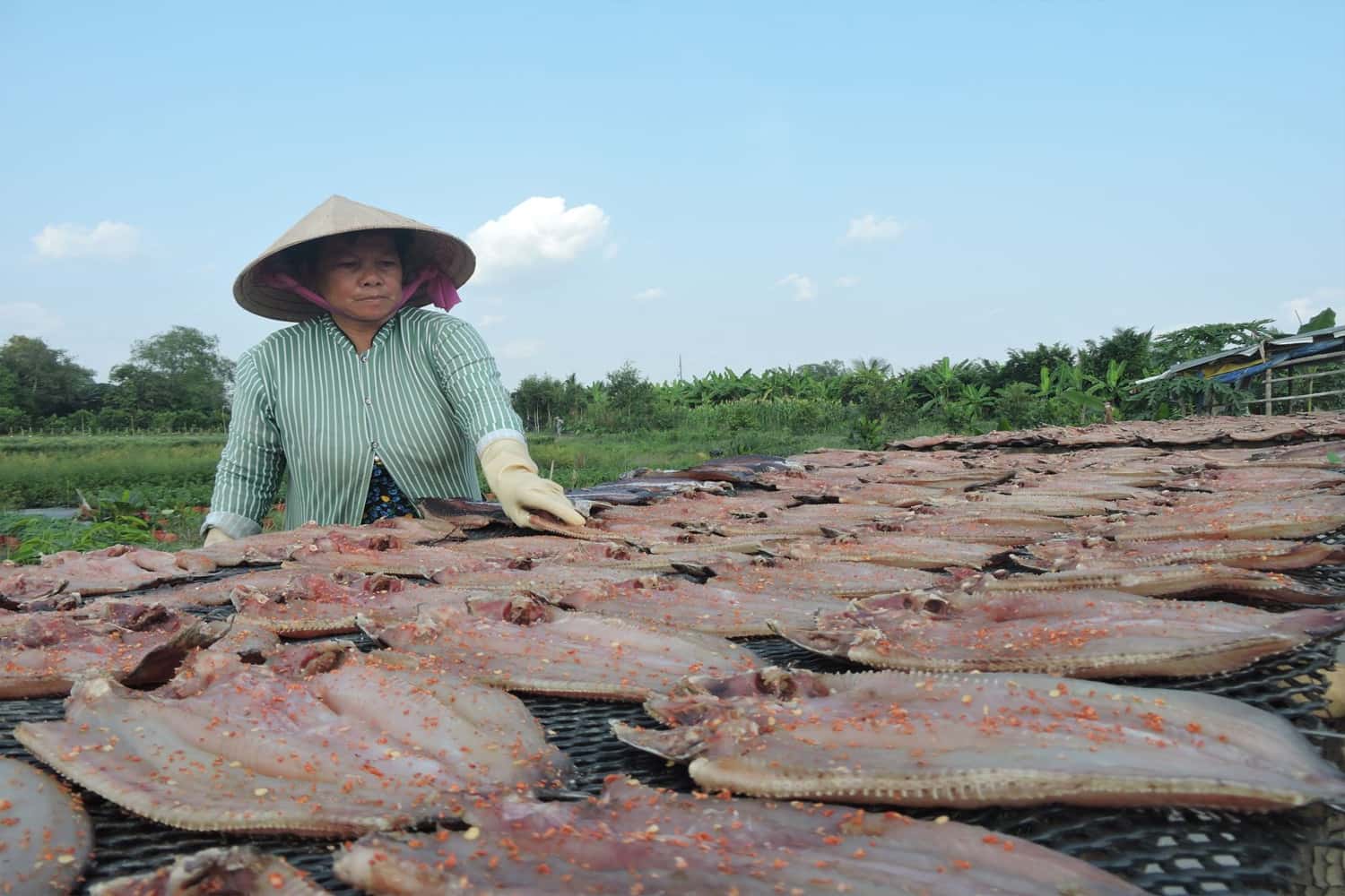 Đặc sản khô
