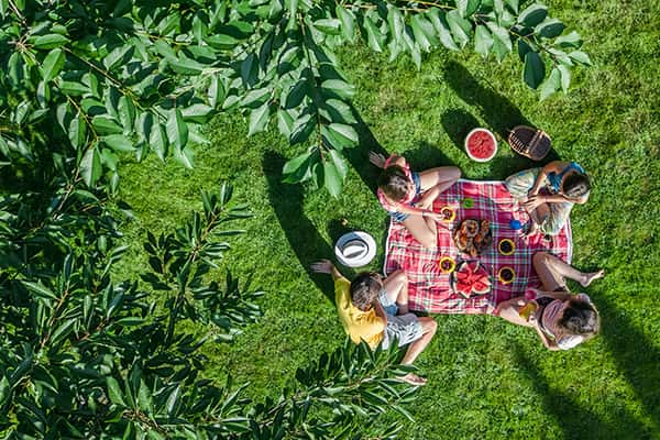 Dạo chơi công viên 23/9 - Không gian xanh giữa lòng Sài Gòn