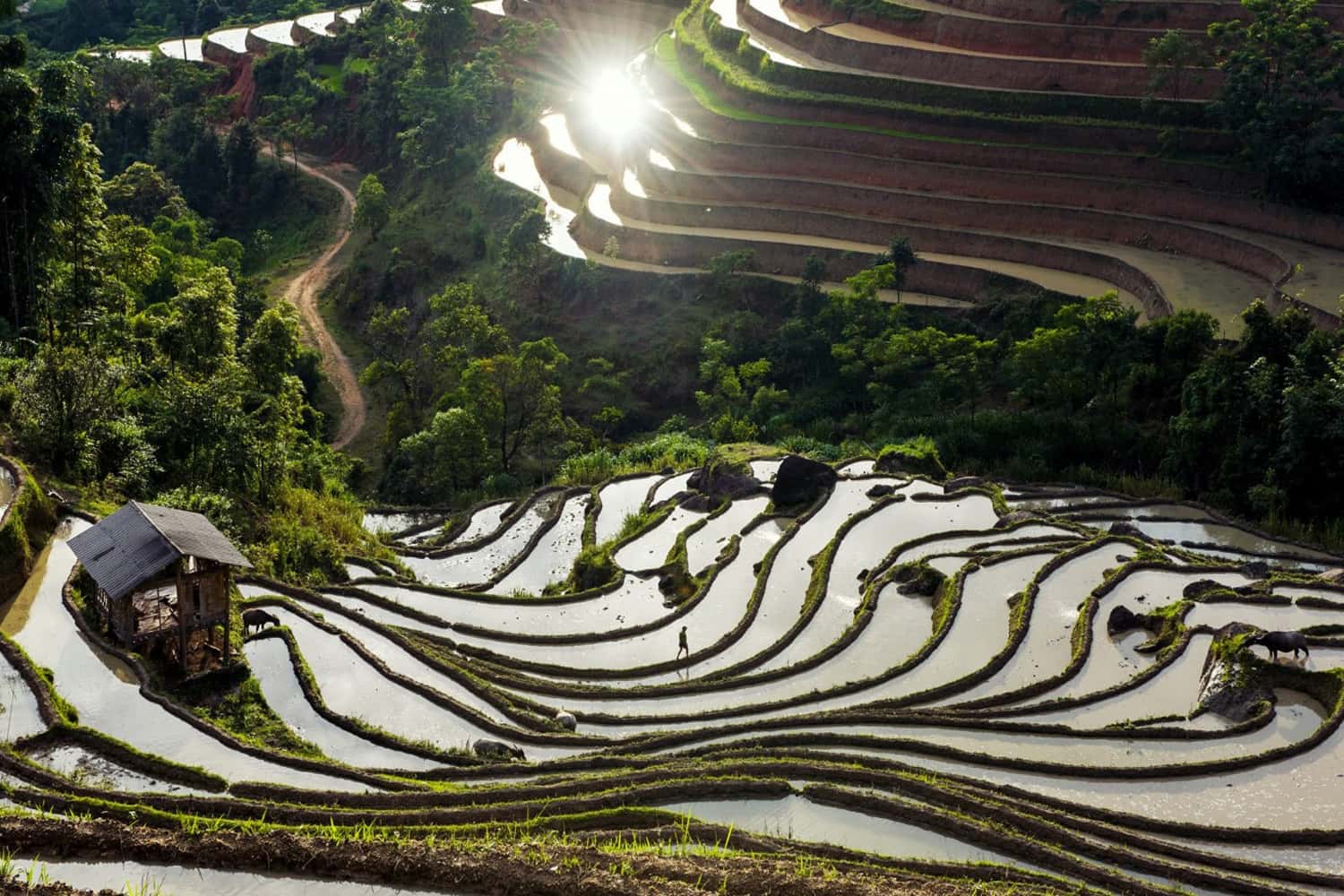 Tháng 5, tháng 6 ở Hà Giang