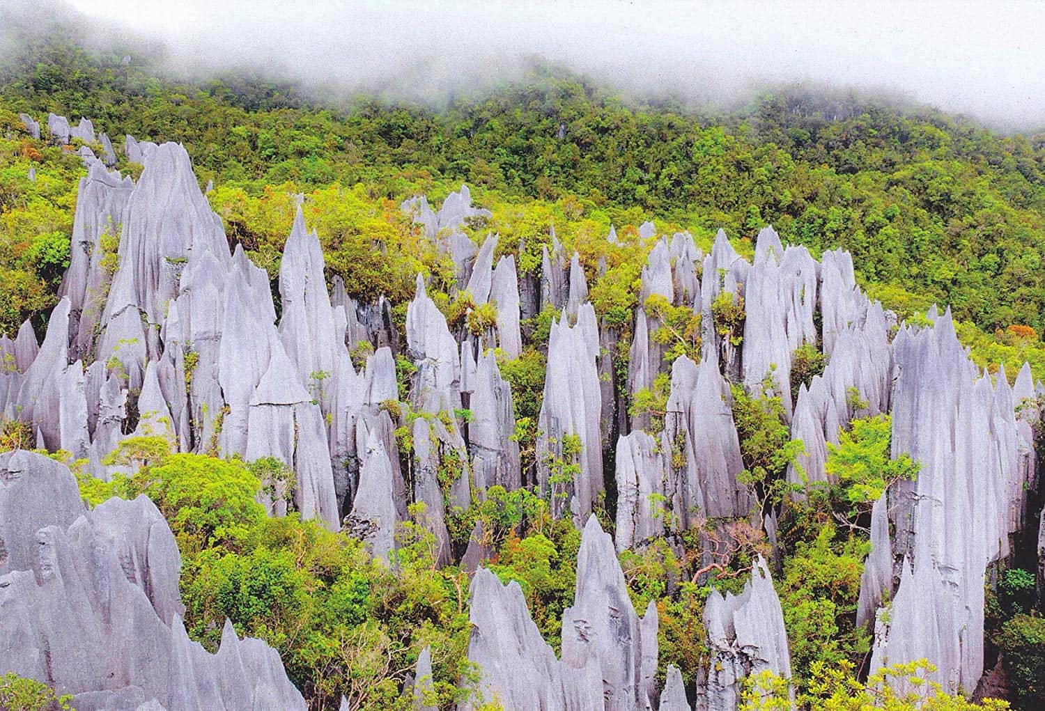 Vườn quốc gia Gunung Mulu