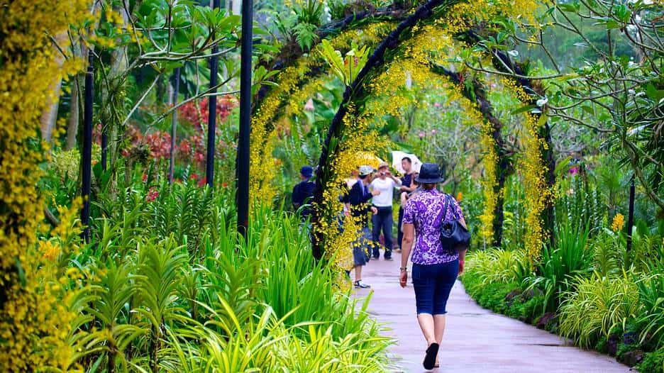 Vườn thực vật Singapore