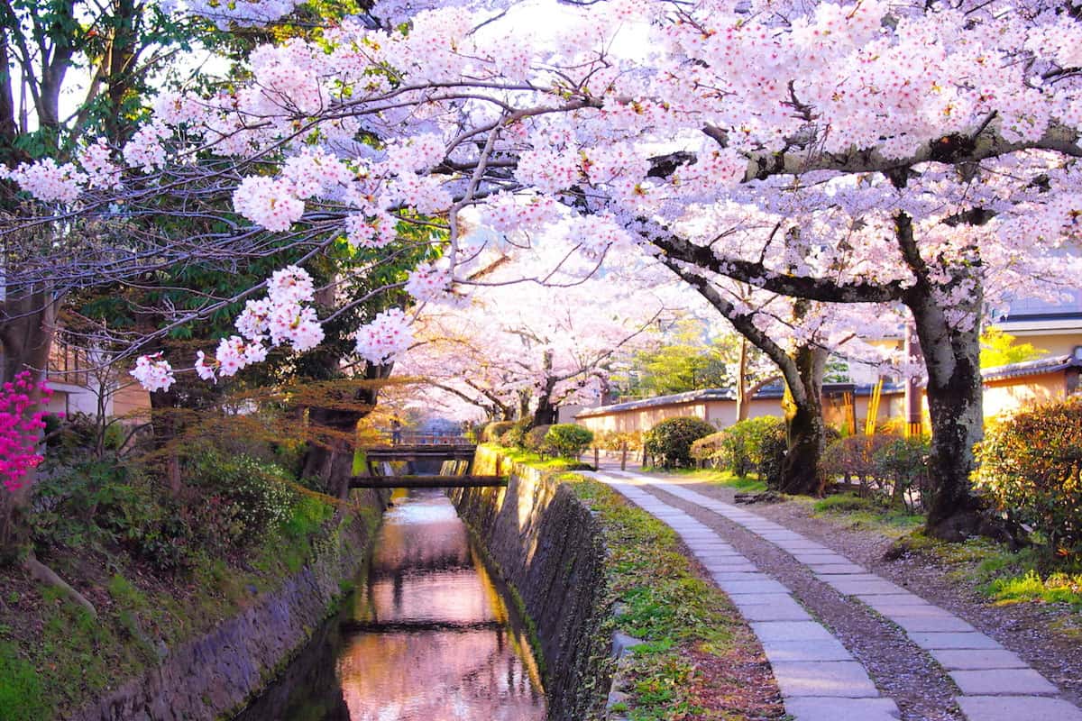 Philosopher’s Path