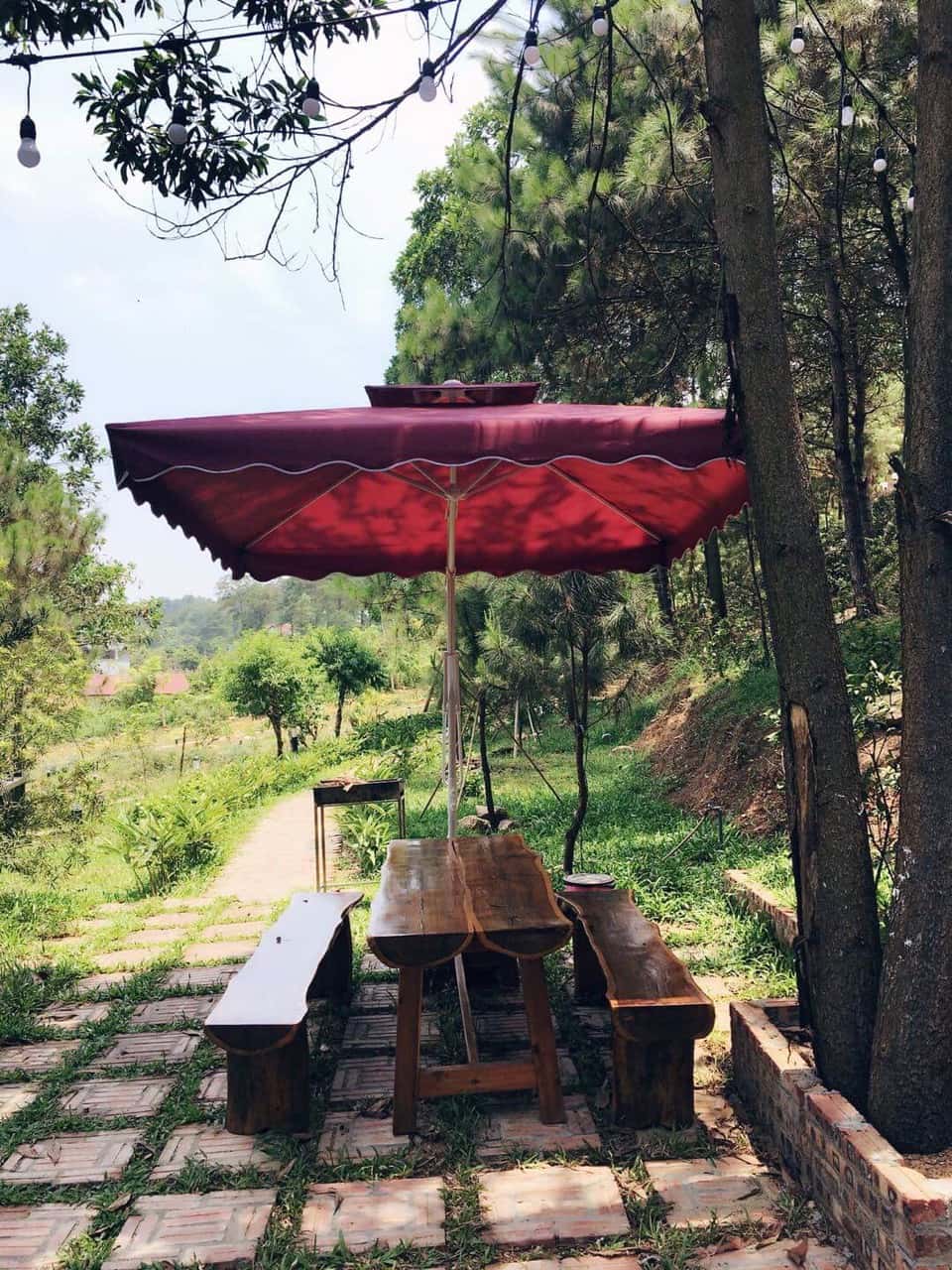 Sân vườn rộng rãi thơ mộng