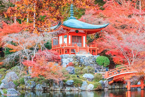 Hướng dẫn khám phá trọn vẹn Tokyo trong 48 giờ