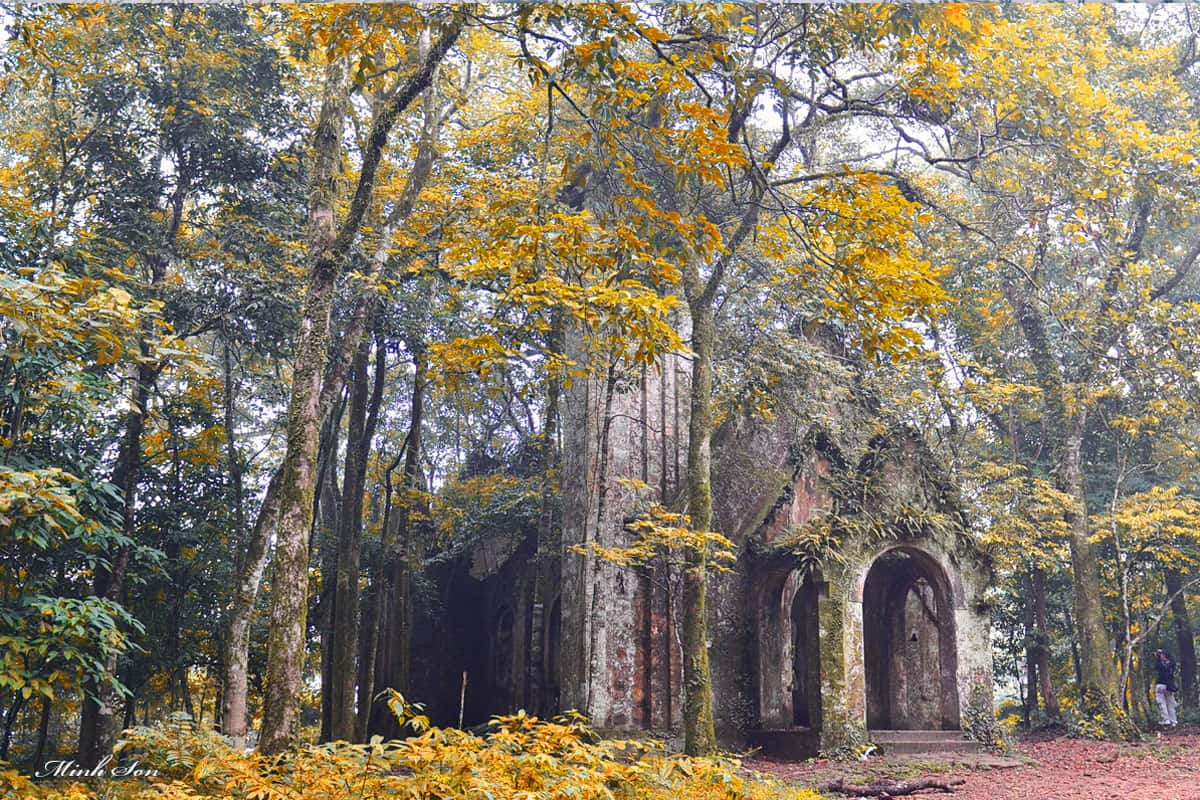  Nhà thờ cổ