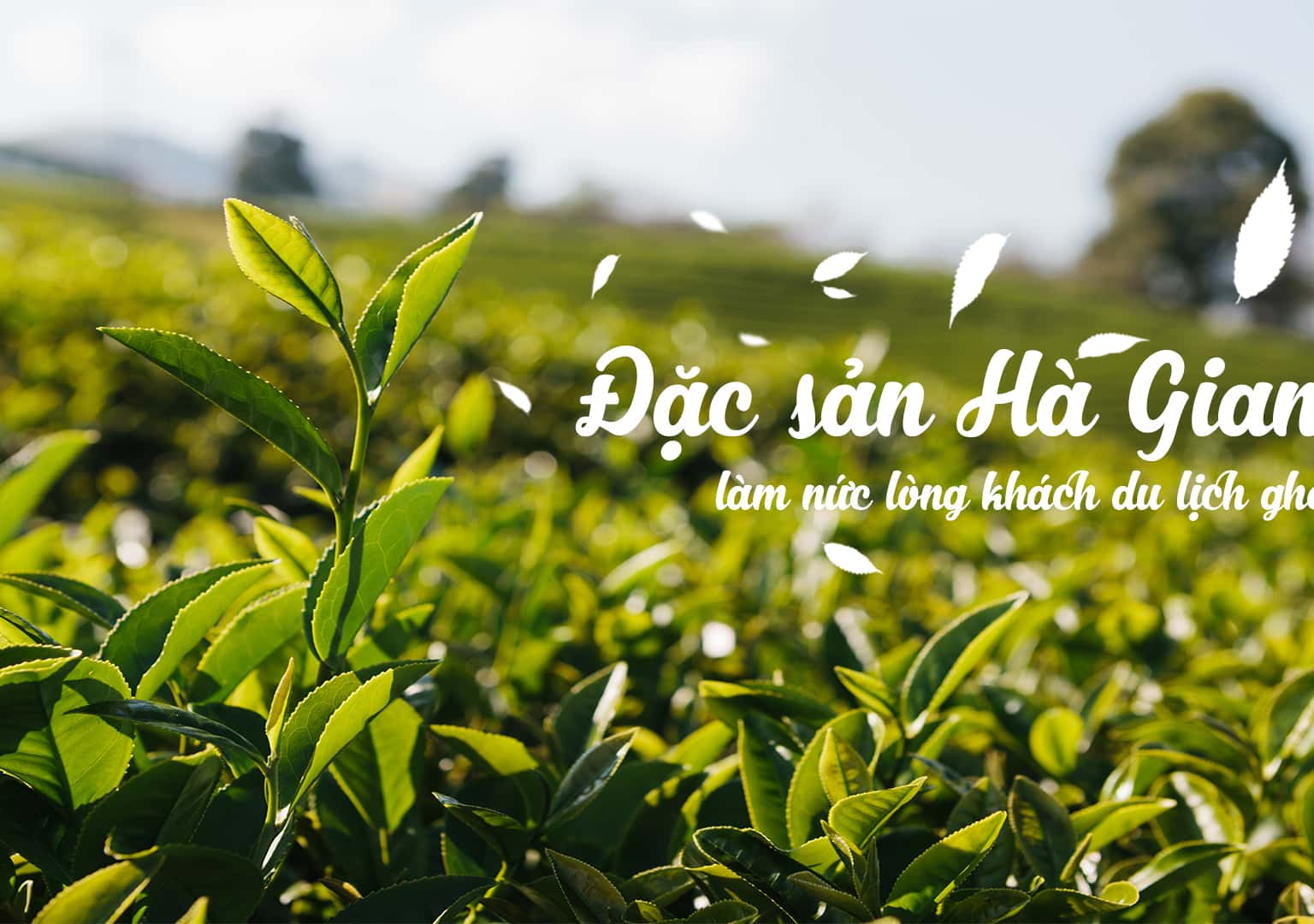 Đặc sản Hà Giang làm nức lòng khách du lịch ghé thăm