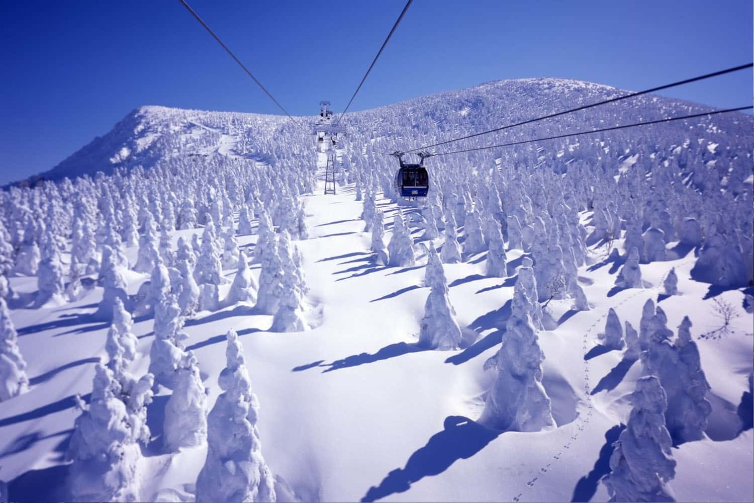 Zao Onsen