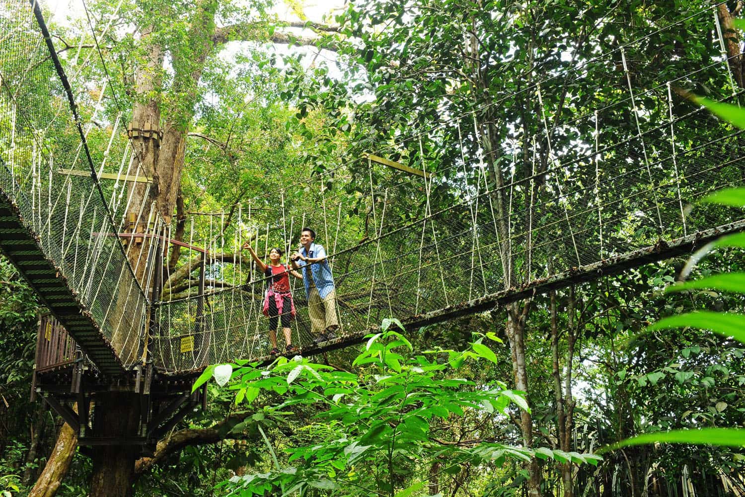 Hệ sinh thái đa dạng