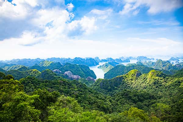 Kinh nghiệm du lịch Cát Bà tất tần tật từ A đến Z