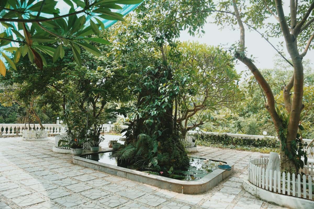 Khuôn viên thơ mộng