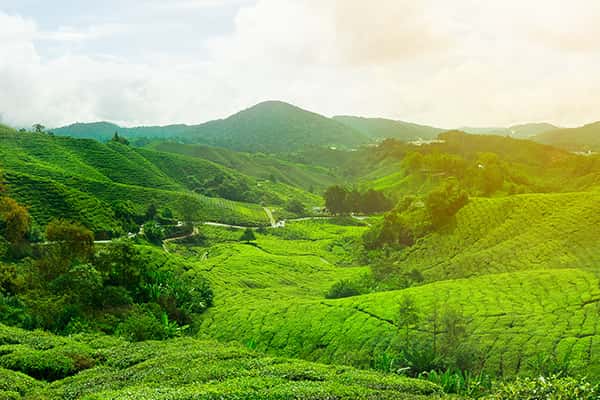 Top 10 địa điểm du lịch hấp dẫn nhất tại Malaysia 