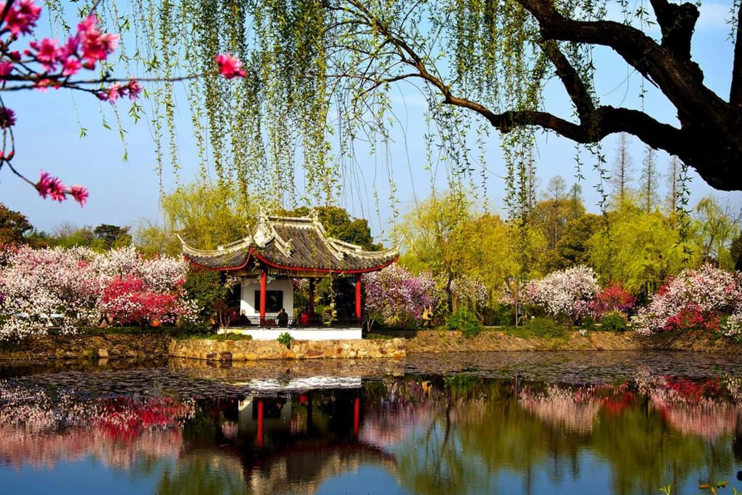 Mùa xuân ở Tô Châu