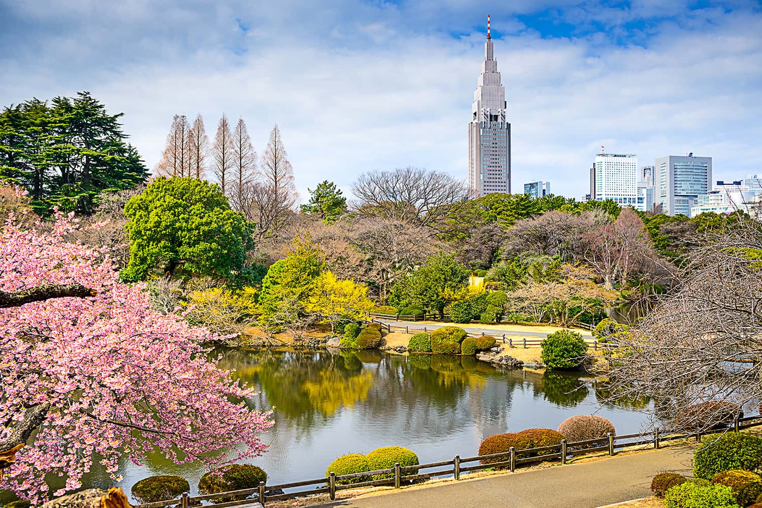 Công viên Shinjuku Gyoen