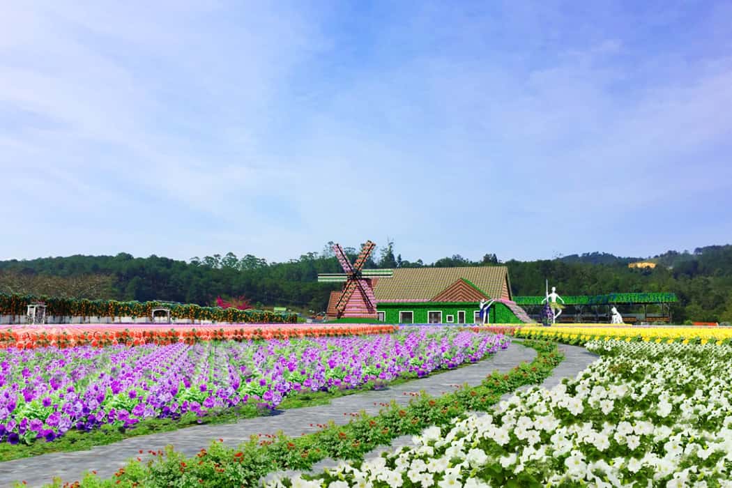 Fresh Garden