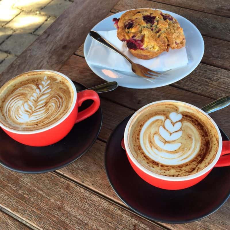 Starfish Bakery and Café