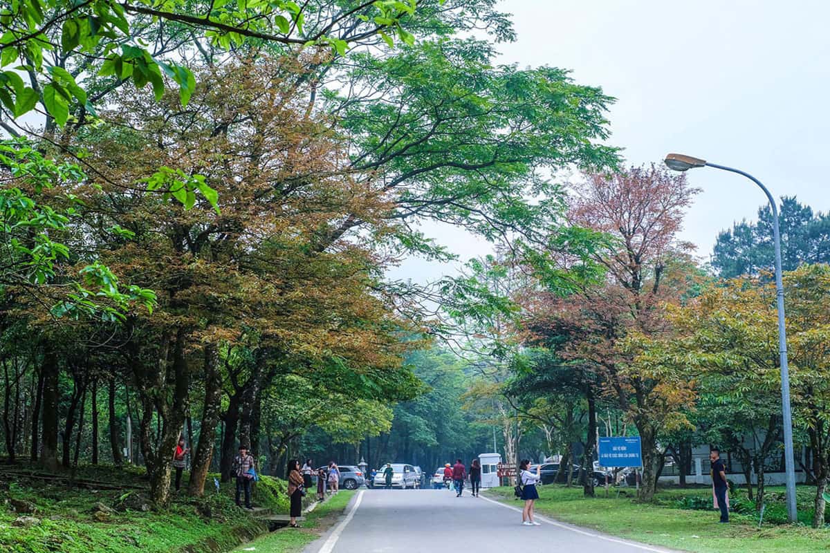 Khu du lịch Ba Vì 