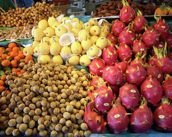 Fruit
