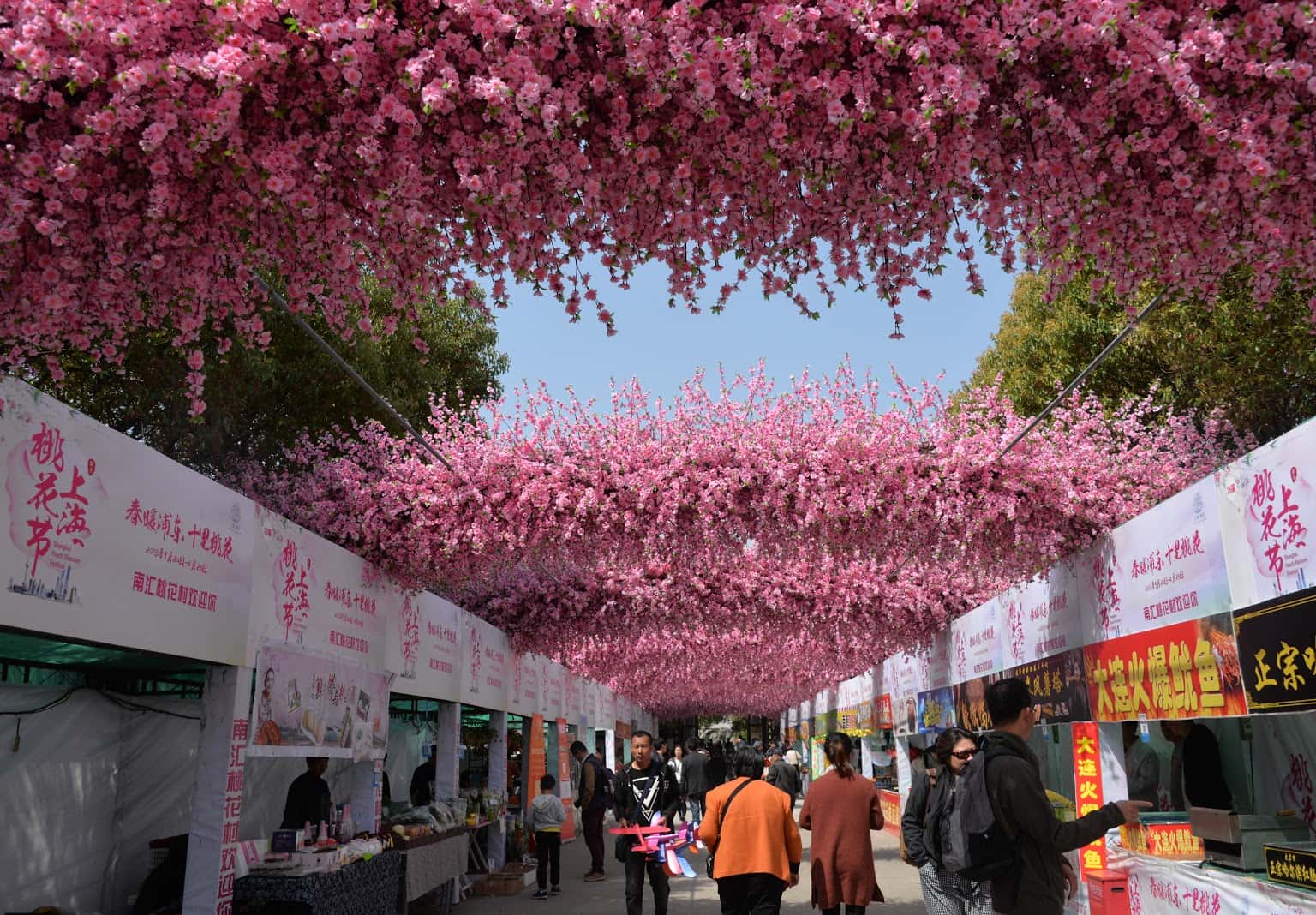 Lễ hội hoa đào