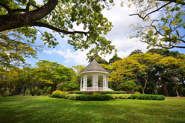 Tham quan vườn bách thảo Singapore Botanic Gardens