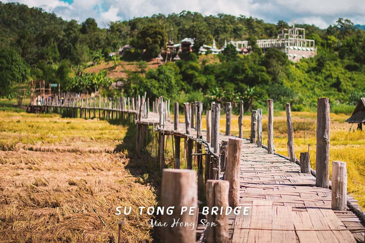 Cầu Sutongpe và hang cá 