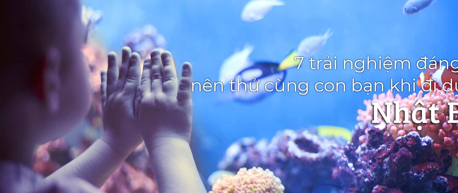 Top 7 trải nghiệm đáng nhớ khi du lịch Nhật Bản cùng trẻ nhỏ
