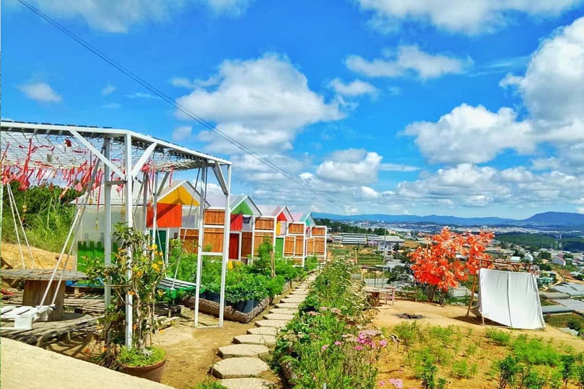 Sunny Farm