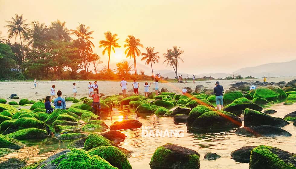 Bãi Biển Nam Ô