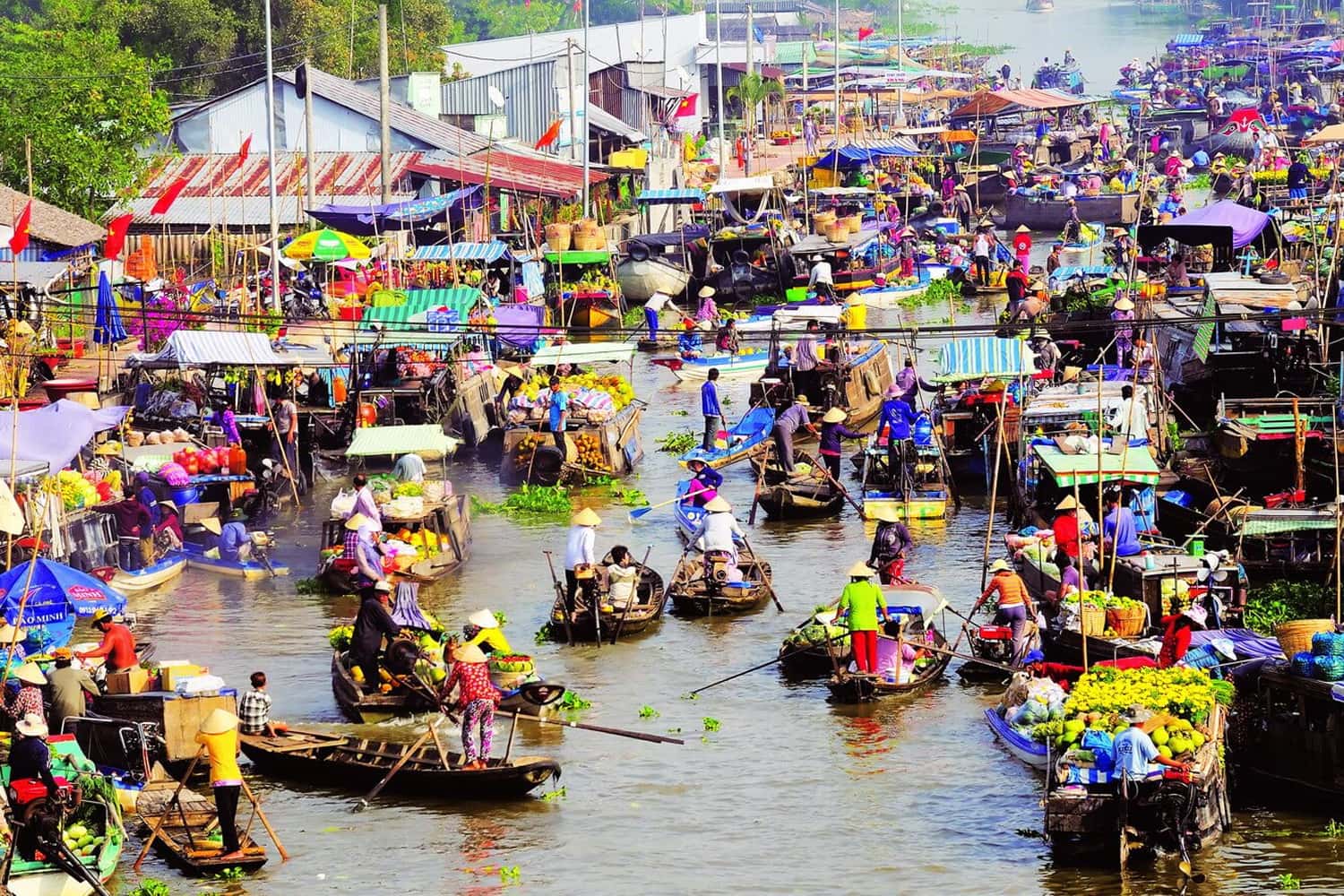 Cần Thơ mùa giáp tết