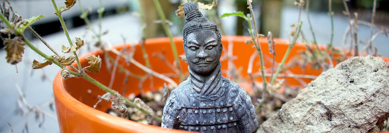 Top 9 trò lừa đảo phổ biến nhất tại Tây An, Trung Quốc