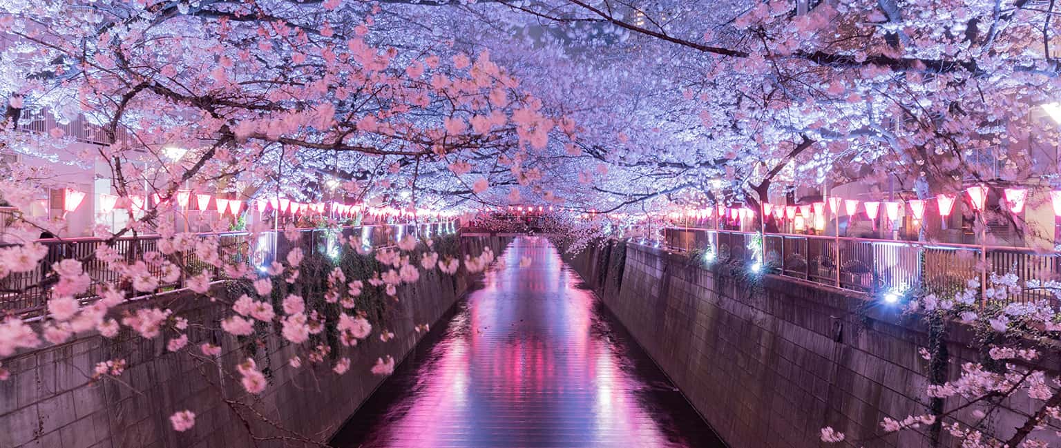 Top 10 địa điểm tham quan hàng đầu ở Meguro, Tokyo