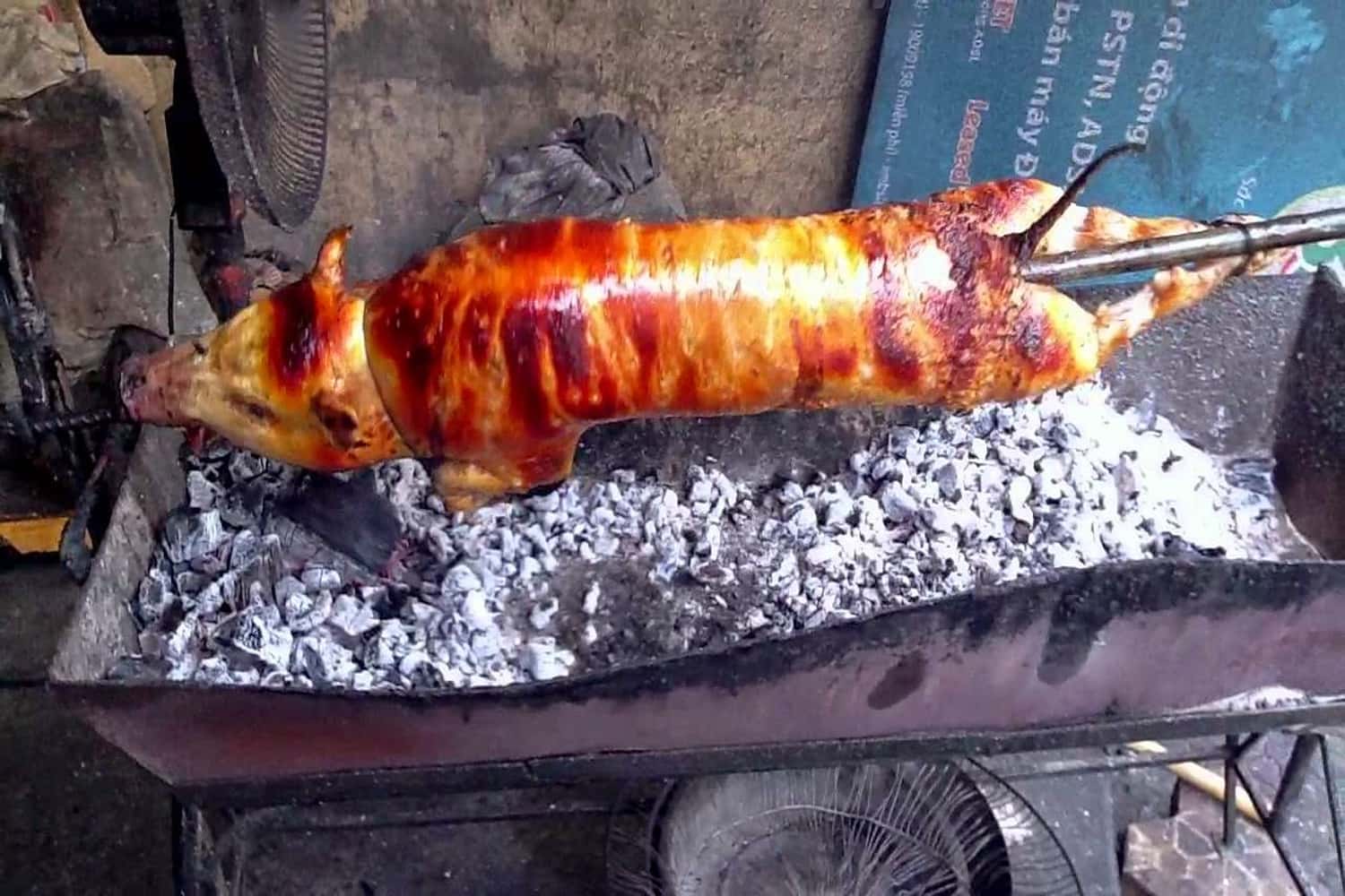 Lợn cắp nách